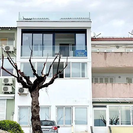 Apartment Anton *